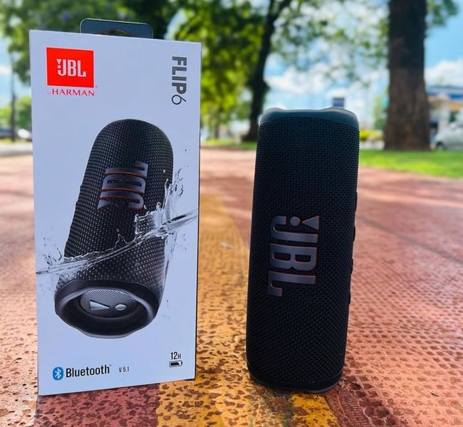 JBL FLIP 6 